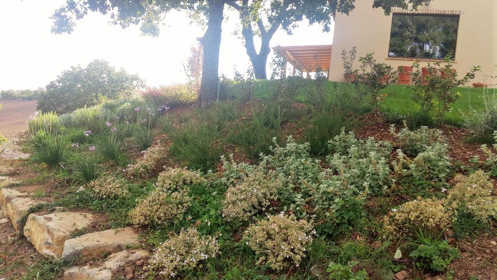 Agriturismo Sugheretello Semproniano Bagian luar foto