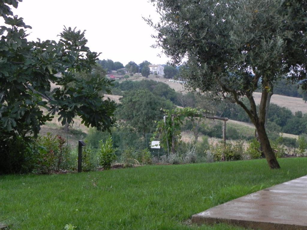 Agriturismo Sugheretello Semproniano Bagian luar foto